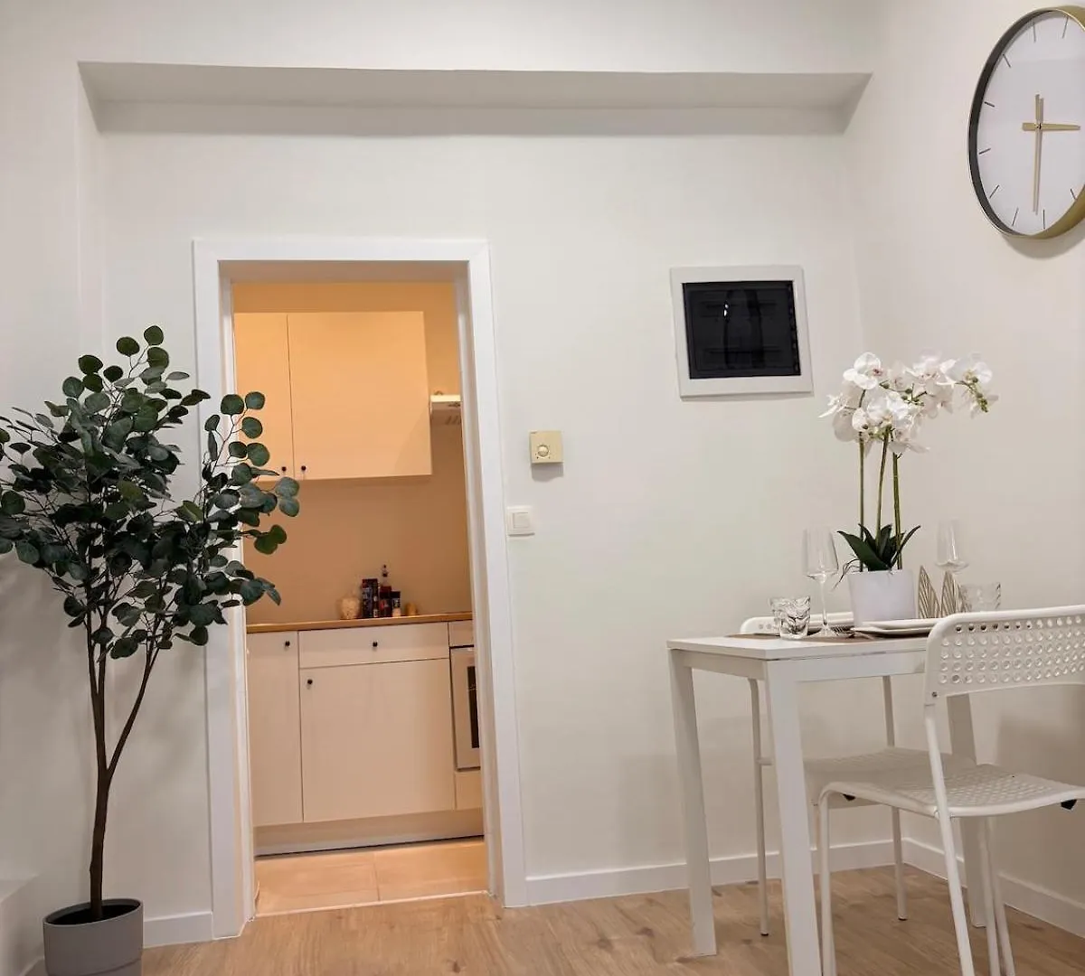 Апартаменты Comfortable Studio 10 Min From Midi Station And 15 Min From Brussels Center